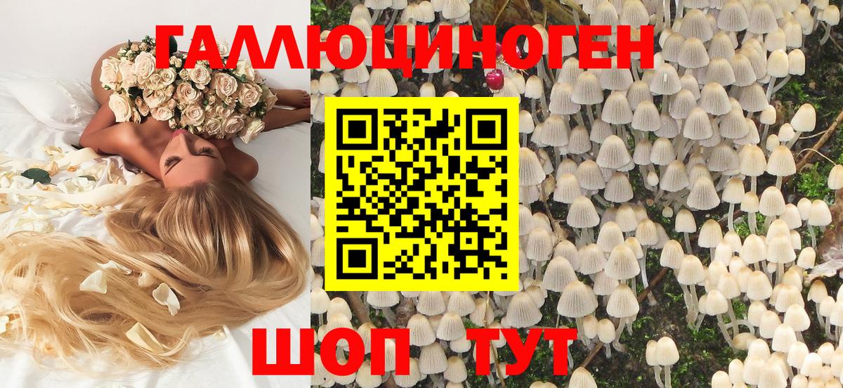 Псилоцибиновые грибы Psilocybe  Вход с VPN  Джанкой 